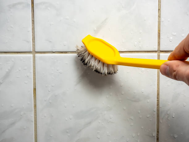 Best Local Mold Removal Service  in Eldorado, TX