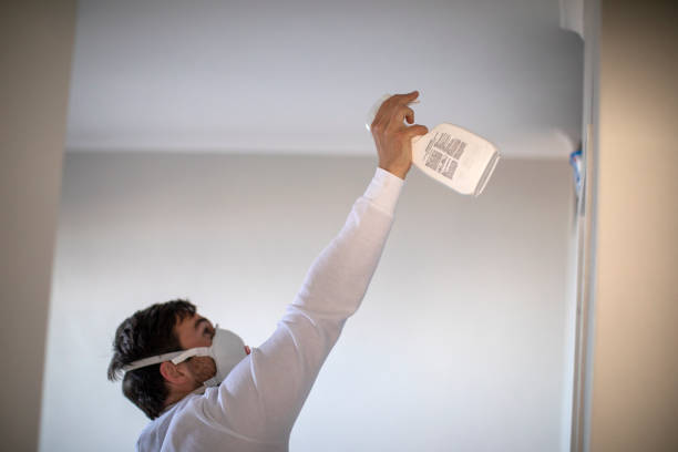 Best Mold Cleaning Services  in Eldorado, TX