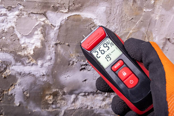Best Mold Remediation  in Eldorado, TX