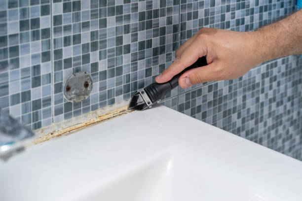 Home Mold Removal in Eldorado, TX