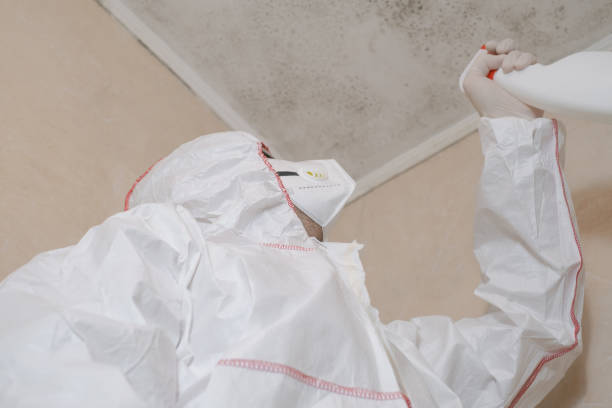 Best Office Mold Removal Services  in Eldorado, TX