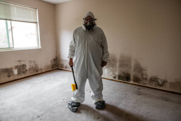 Best Mold Remediation Experts  in Eldorado, TX